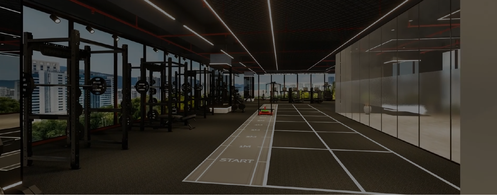 Marvex Fitness